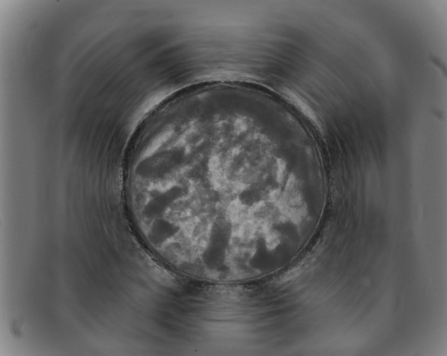 X0000091350831200708311514