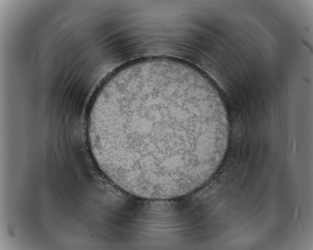 X0000091350832200708311514