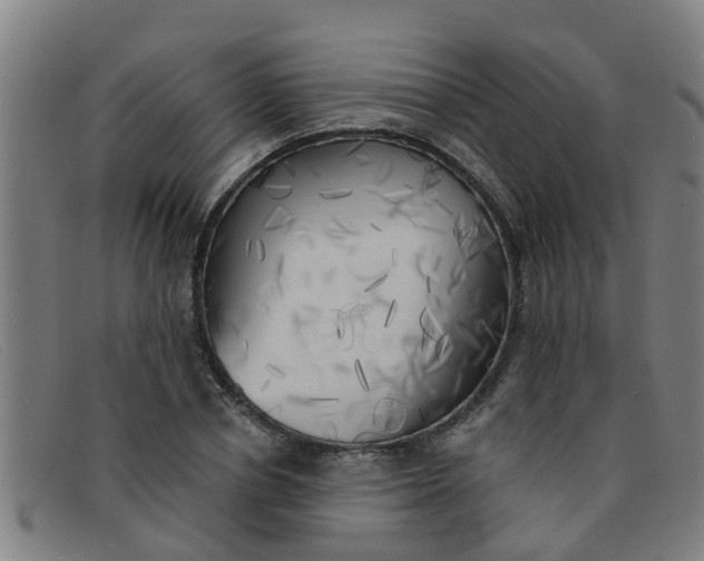 X0000091350834200708311514