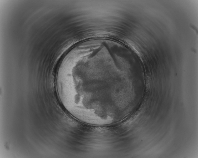 X0000091350835200708311514