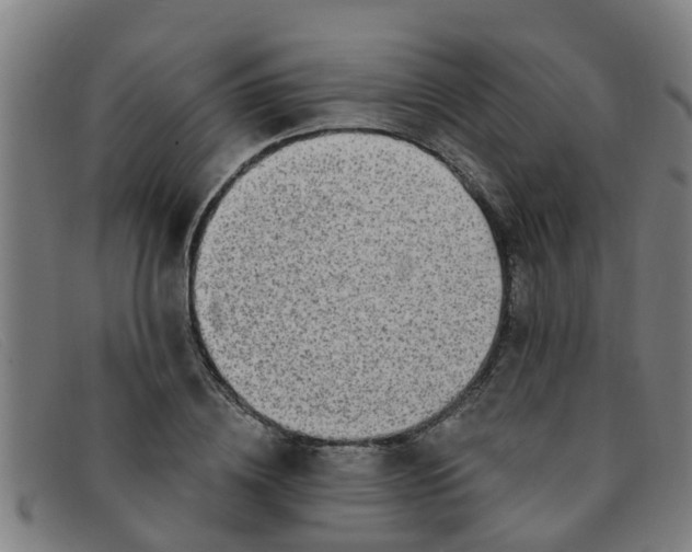 X0000091350836200708311514