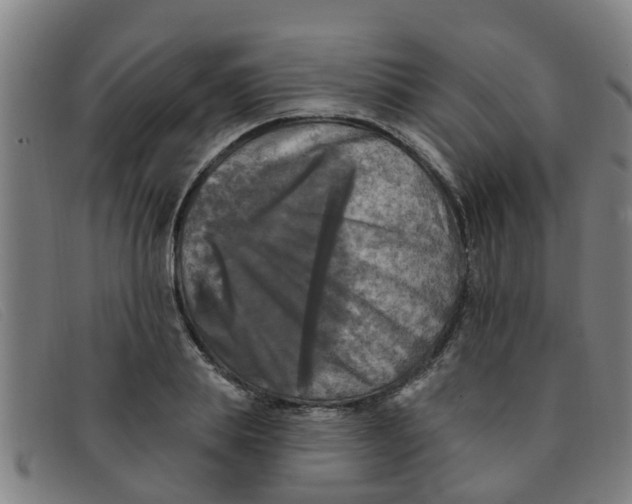 X0000091350839200708311514