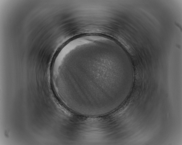 X0000091350840200708311514
