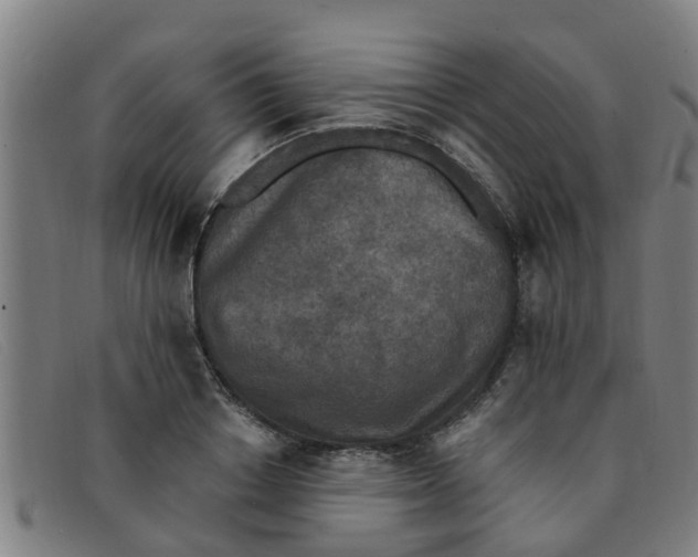 X0000091350842200708311514