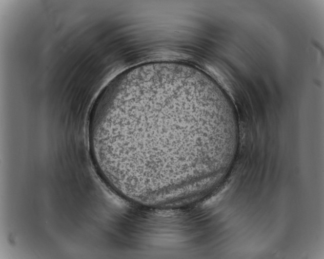 X0000091350843200708311514