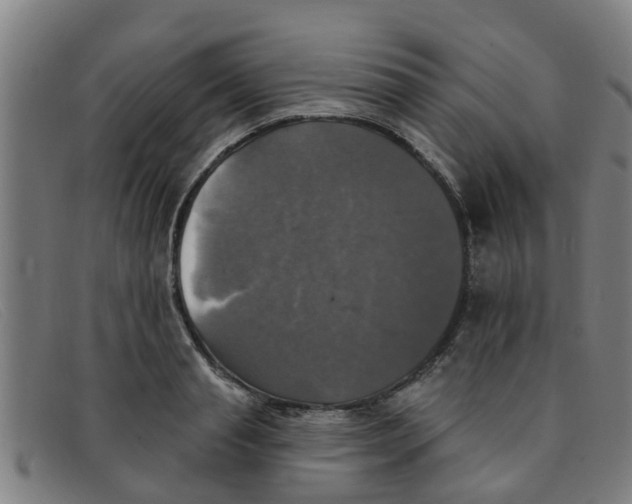 X0000091350845200708311515