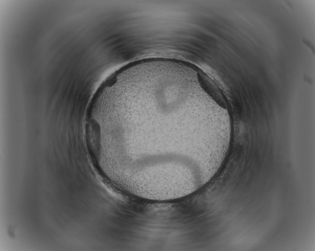 X0000091350846200708311515