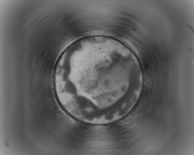 X0000091350847200708311515