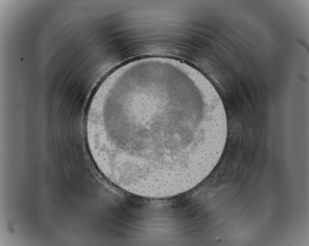 X0000091350848200708311515