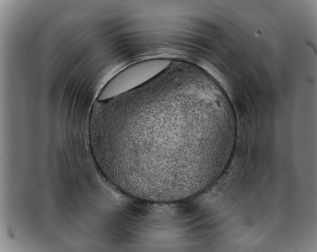 X0000091350850200708311515