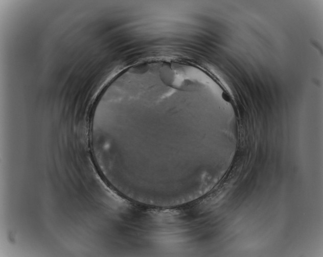 X0000091350851200708311515
