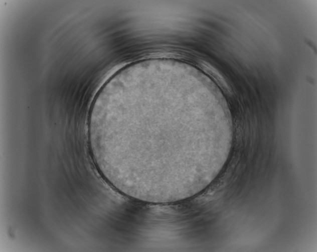 X0000091350852200708311515