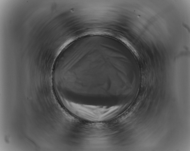 X0000091350853200708311515