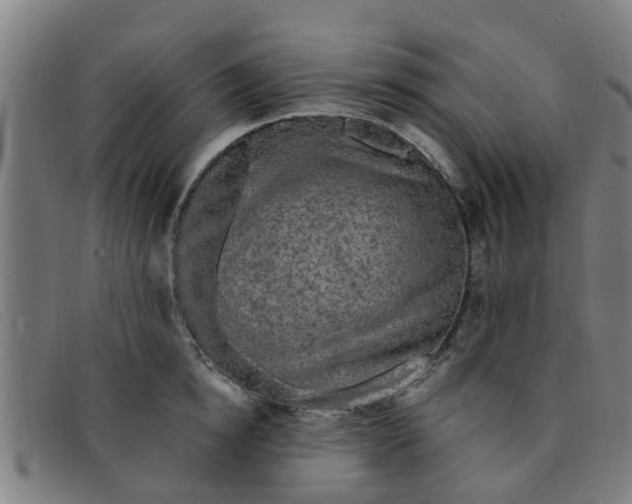 X0000091350854200708311515