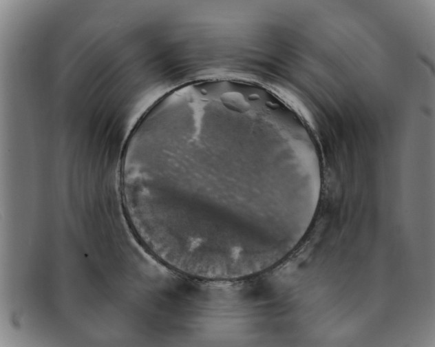 X0000091350855200708311515