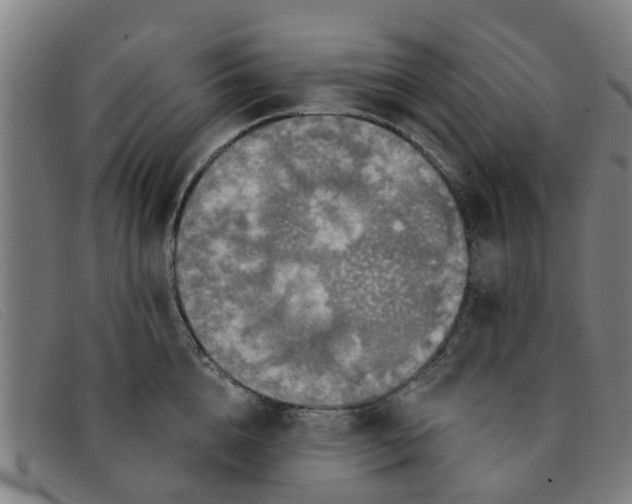 X0000091350856200708311515