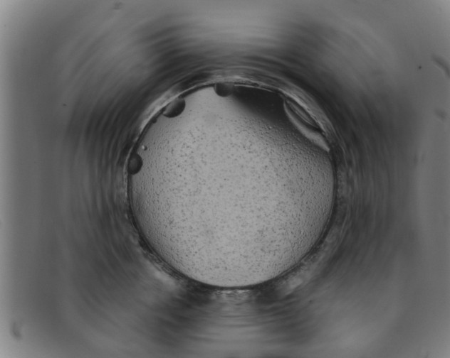 X0000091350858200708311515