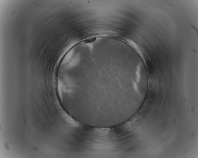 X0000091350859200708311515