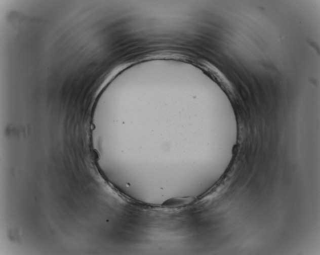 X0000091350860200708311515