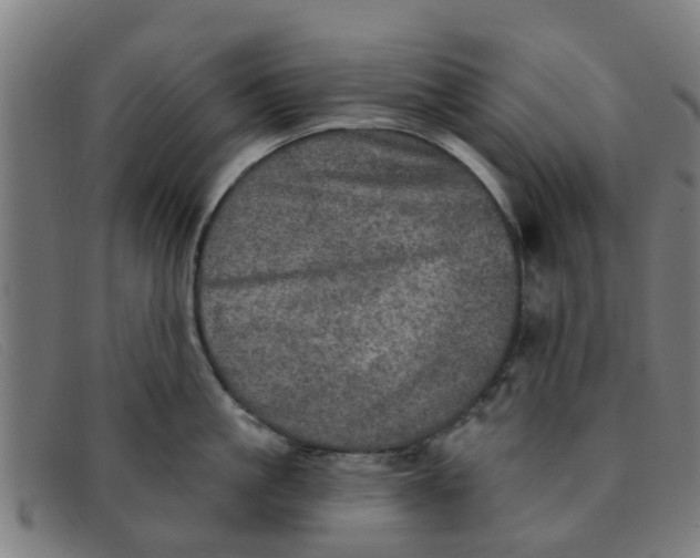 X0000091350861200708311515
