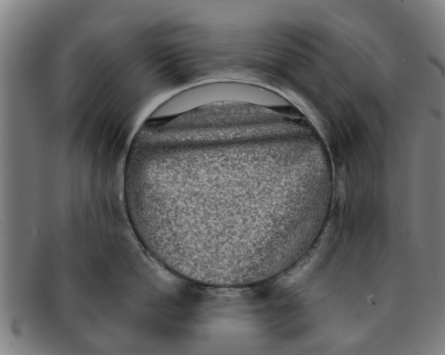 X0000091350862200708311515
