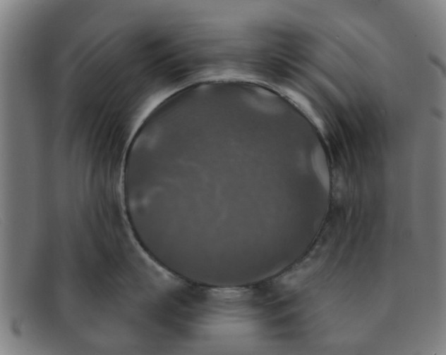 X0000091350863200708311515