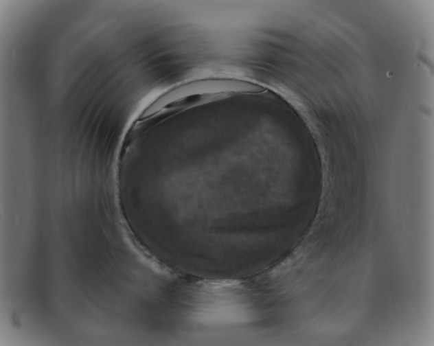 X0000091350864200708311515