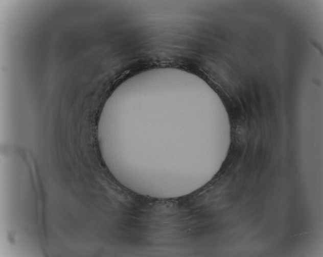 X0000091350865200708311514
