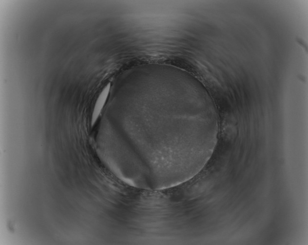 X0000091350866200708311514