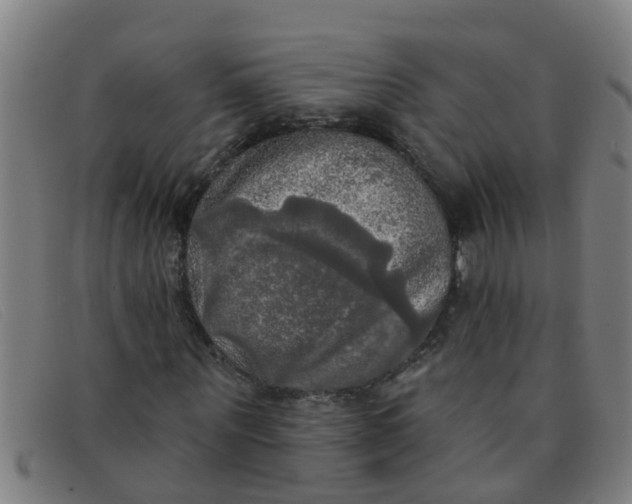 X0000091350867200708311514