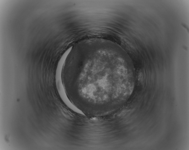 X0000091350868200708311514