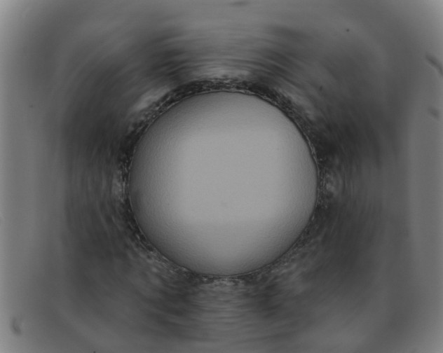 X0000091350869200708311514