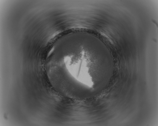 X0000091350870200708311514