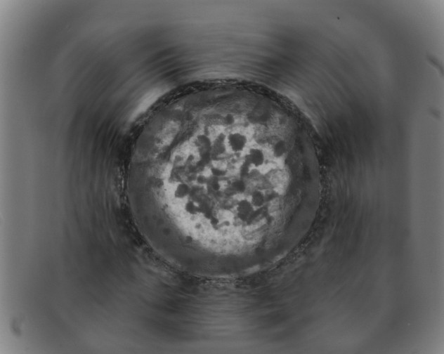 X0000091350871200708311514