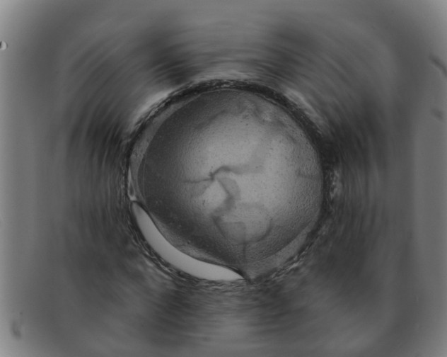X0000091350872200708311514