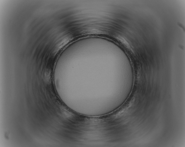 X0000091350873200708311514
