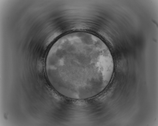 X0000091350874200708311514
