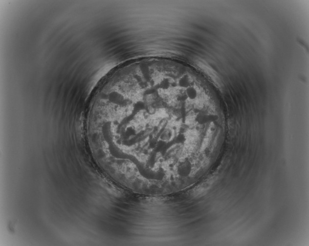 X0000091350875200708311514
