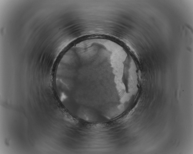 X0000091350879200708311514