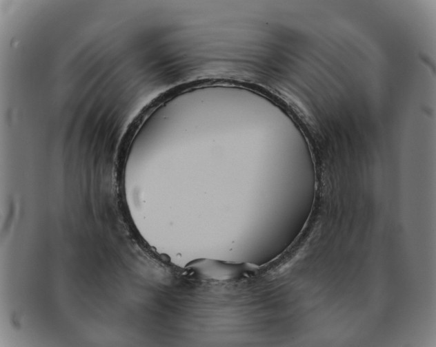 X0000091350880200708311514