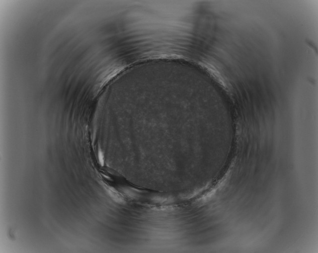 X0000091350881200708311514