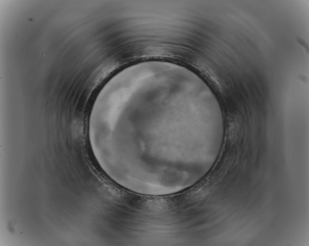 X0000091350882200708311514