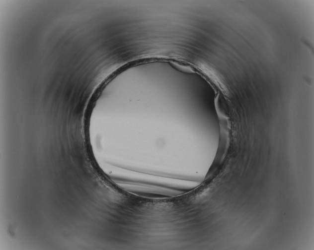 X0000091350884200708311514