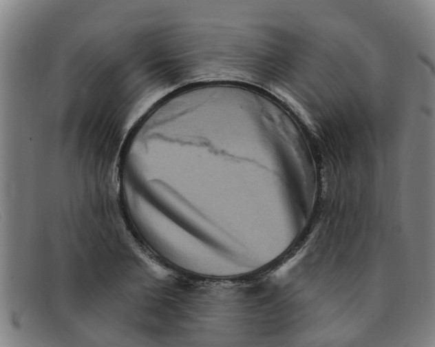 X0000091350885200708311514