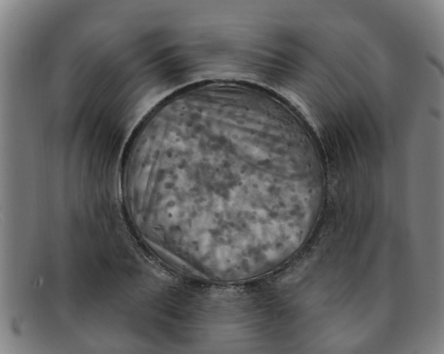 X0000091350887200708311514