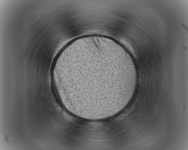 X0000091350888200708311514