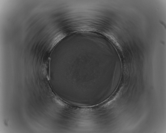 X0000091350889200708311514
