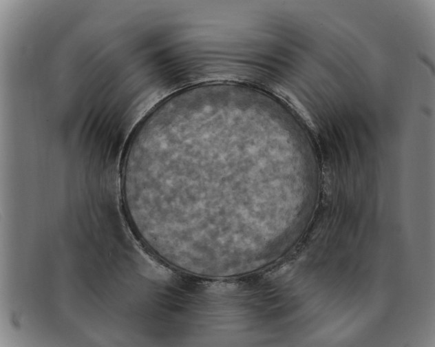 X0000091350890200708311514