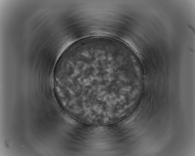 X0000091350891200708311514