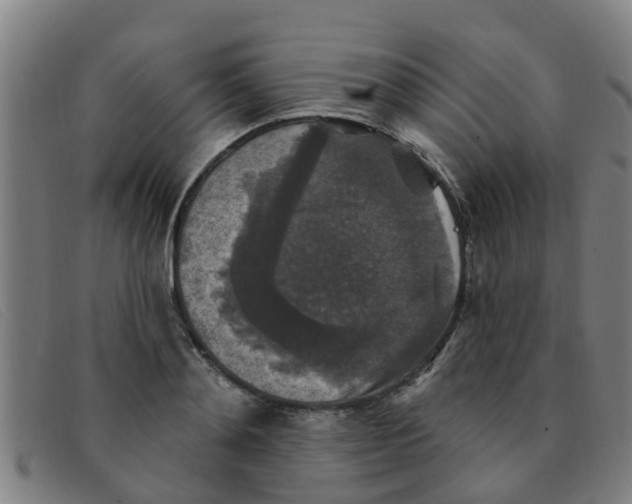 X0000091350892200708311514
